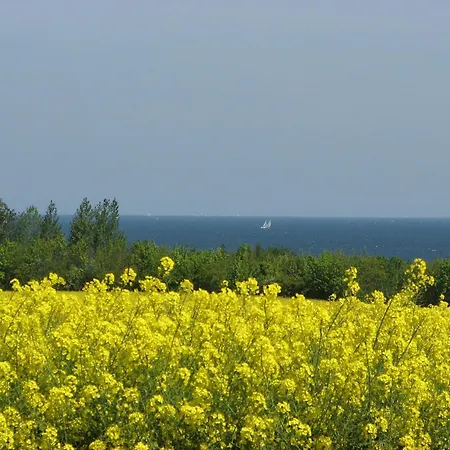 Altstadtblick - Abc193 Lejlighed